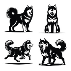 Different siberian husky dog set bundle vector illustration isolated on white background
