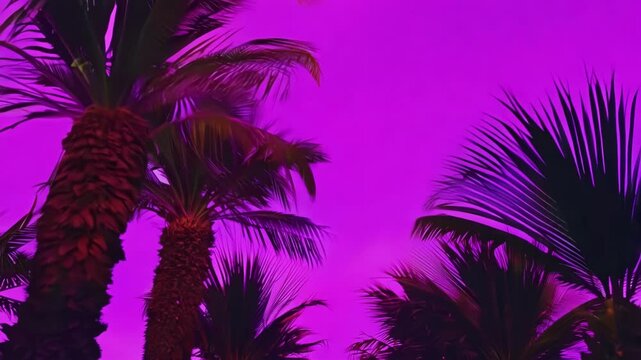 Vibrant palm trees transform from fluorescent green-yellow to deep purple and golden hues. The tropical scene shifts through bold color gradients creating a surreal psychedelic atmosphere.