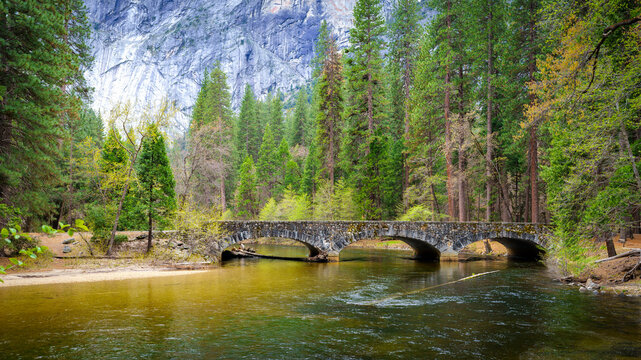 On the Merced River, Yosemite National Park