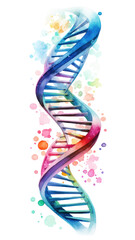 Watercolor DNA Helix Clipart — Scientific Genetics Illustration on Transparent Background

