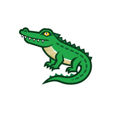 crocodile colorful icon vector with white background.