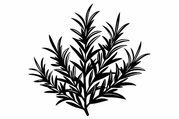 rosemary silhouette line art vector illustration with a white background