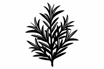Obraz premium rosemary silhouette line art vector illustration with a white background