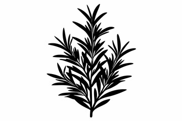 rosemary silhouette line art vector illustration with a white background