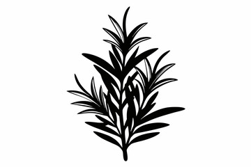 rosemary silhouette line art vector illustration with a white background
