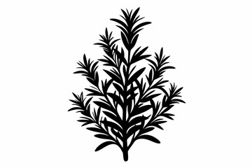 rosemary silhouette line art vector illustration with a white background