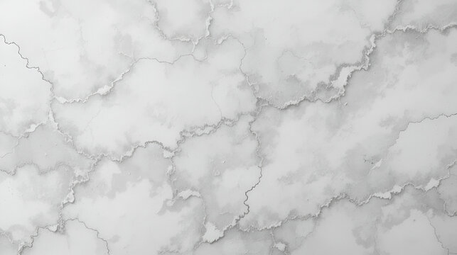 Extended, continuous canvas of snow white, subtly veined with muted charcoal grey, lending a sense of timeless elegance and refined simplicity.