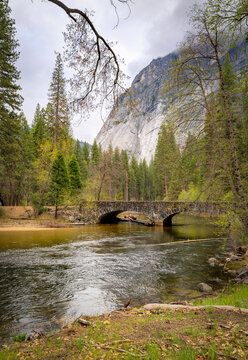 On the Meced River, Yosemite