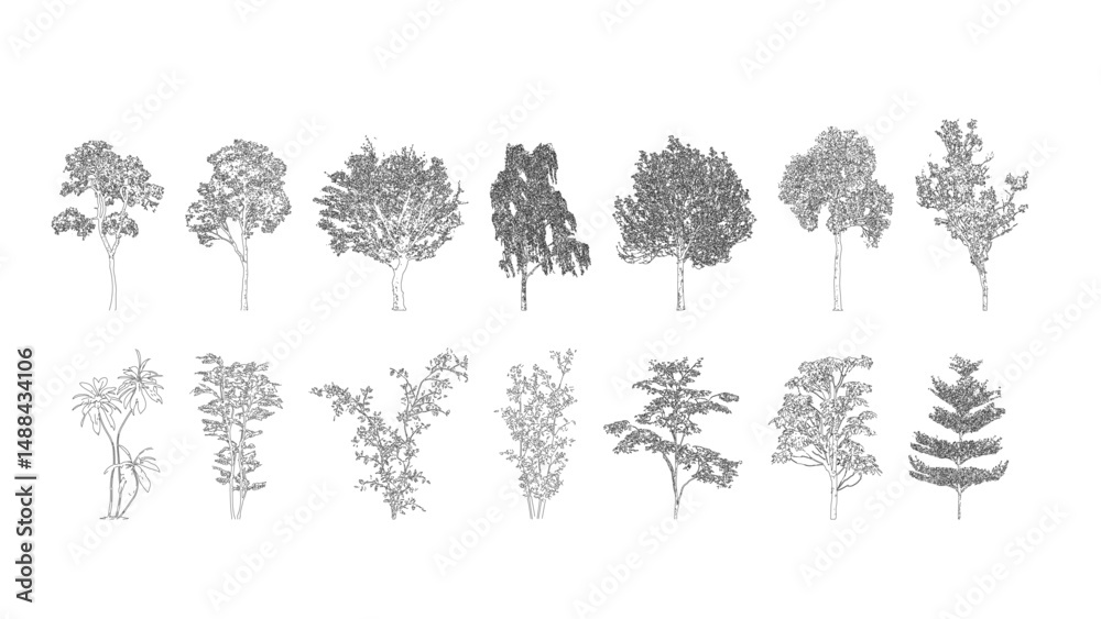 Poster Minimal style cad tree line drawing, Side view, set of graphics trees elements outline symbol for architecture and landscape design drawing. Vector illustration in stroke fill in white. Tropical