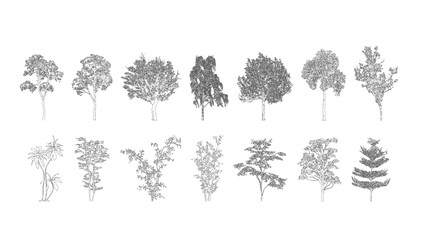 Fototapeta na wymiar Minimal style cad tree line drawing, Side view, set of graphics trees elements outline symbol for architecture and landscape design drawing. Vector illustration in stroke fill in white. Tropical