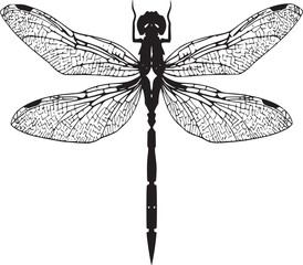 black and white silhouette tattoo of dragonfly