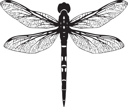 recommend clip art: black outline silhouette dragonfly