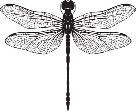 black dragonfly silhouette tattoo ideas