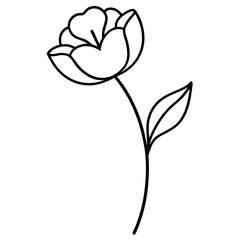 Poppy Blossom Thin Line Art &ndash; Simple Vector for Floral or Nature Branding