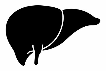 Obraz premium liver silhouette line art vector illustration with a white background
