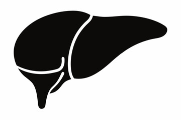liver silhouette line art vector illustration with a white background