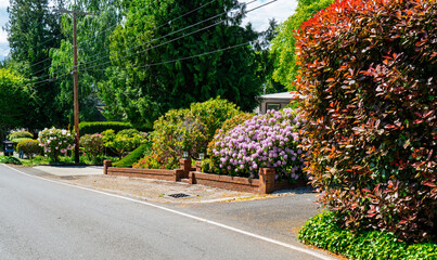 Obraz premium House And Garden 2