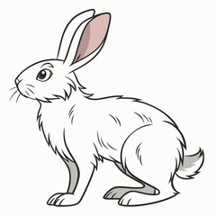Adorable white rabbit cartoon illustration sitting