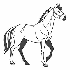 Professional cutout of a white horse on transparent background