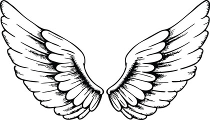 vector illustration of an angel