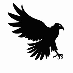 Obraz premium eagle with wings