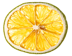 Dried calamansi slice close up isolated on transparent background