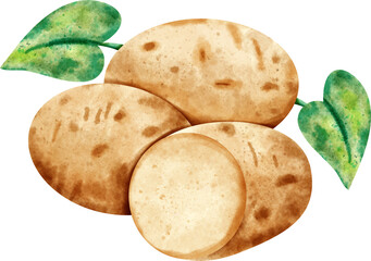 watercolor Potato