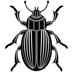 Stylized Black and White Beetle Illustration Graphic Design
