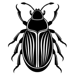 Black and White Striped Beetle Illustration Vector Graphic