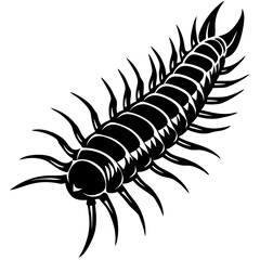 Stylized Black and White Centipede Illustration Vector Graphic