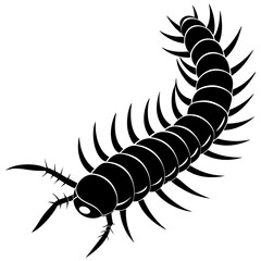 Black and White Centipede Illustration Vector Graphic