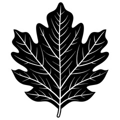Black and White Detailed Illustration of a Single Leaf