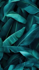 Obraz premium Vibrant green tropical leaves densely arranged in a natural setting