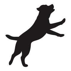 Silhouette of a Dog Jumping in the Air Happiness