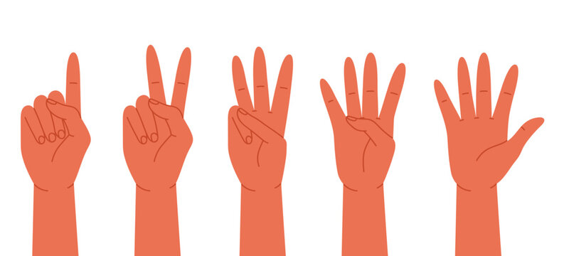 Human hands counting from one to five with raised fingers. Finger-counting. Math and education. Sign language or counting concept. Vector illustration in cartoon style. Isolated on white