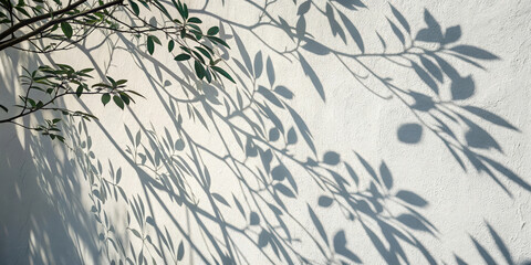 Shadows of leafy branches overlap on white wall, creating natural, artistic, and tranquil pattern