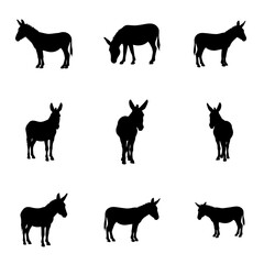 Donkey Black and White, donkey, animal, vector, animals, horse, dog, farm, goat, illustration, wild, elephant, set, cow, icon, cat, silhouettes, lion, collection, deer, nature, black, giraffe, mammal