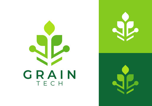leaf tree logo design. creative farm grain nature technology symbol vector concept
