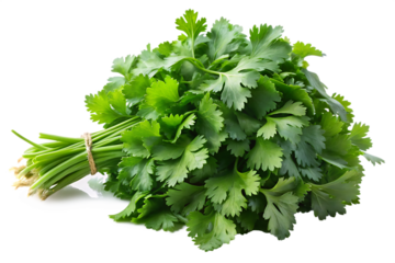 Fresh bunch of organic cilantro leaves isolated on transparent background.PNG