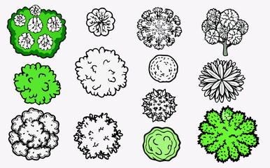 Top View Collection of Trees and Shrubs for Landscape Design