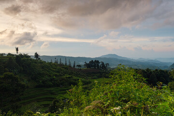 Naklejka premium Panoramic View of Lush Green Hills Under a Dramatic Afternoon Sky