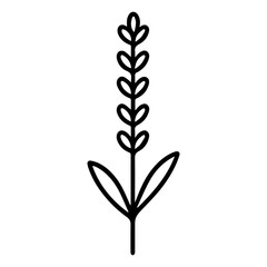 Lavender icon on white background vector
Vector icon plants and flowers