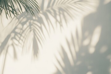 Obraz premium Blurred palm leaf shadows on white surface