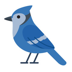 Cute jay bird, striking blue beauty with a vibrant personality. Suitable for nature themed designs, greeting cards, and wildlife publications