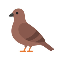 Cute pigeon bird with orange feet, urban charm. Suitable for city themed designs, nature blogs, and wildlife related projects. Ideas for illustrations and branding
