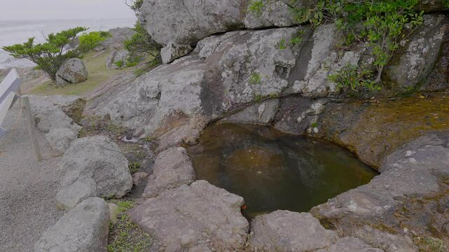宮﨑 大御神社 龍神の霊