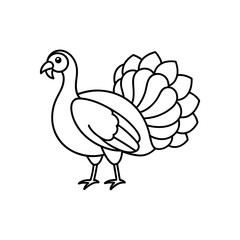 Turkey with feathers line art illustration.