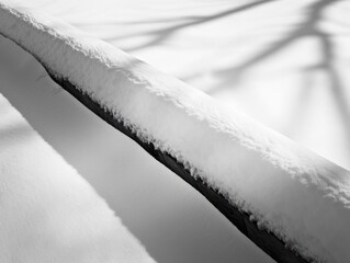 Snow Covered Log with Branch Shadows