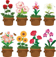 silhouette of a colorful flowers in pot