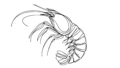 Continuous one single minimal line drawing Krill